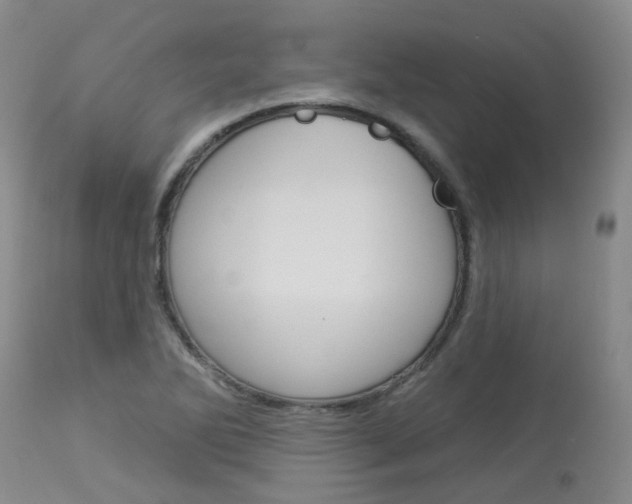 X0000114021270200910021008