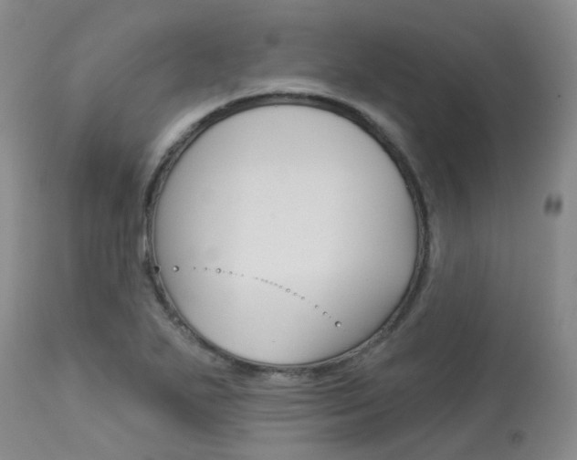 X0000114021271200910021008