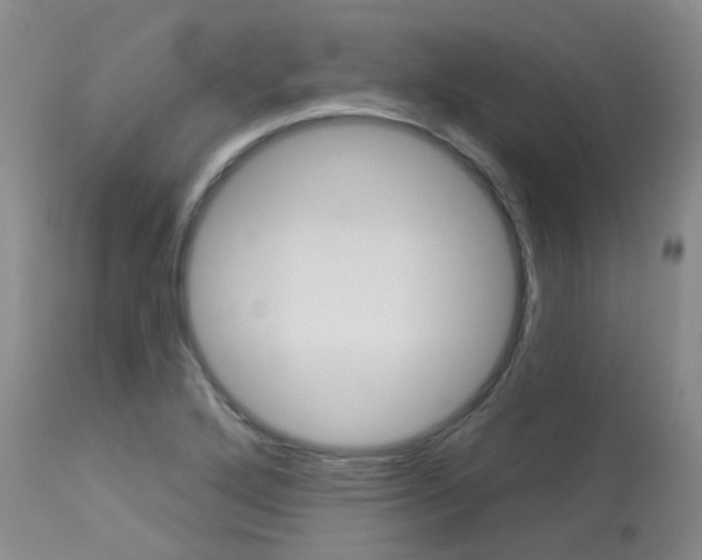 X0000114021272200910021008