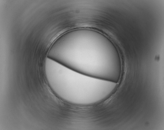 X0000114021273200910021008