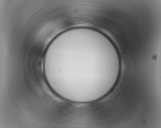 X0000114021274200910021008