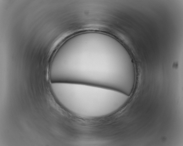 X0000114021275200910021008