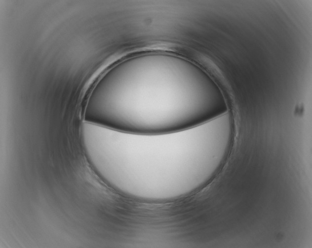 X0000114021276200910021008