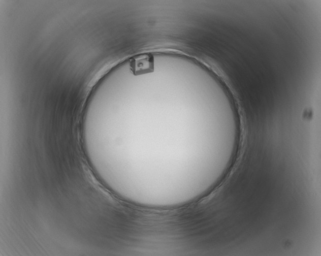 X0000114021277200910021008