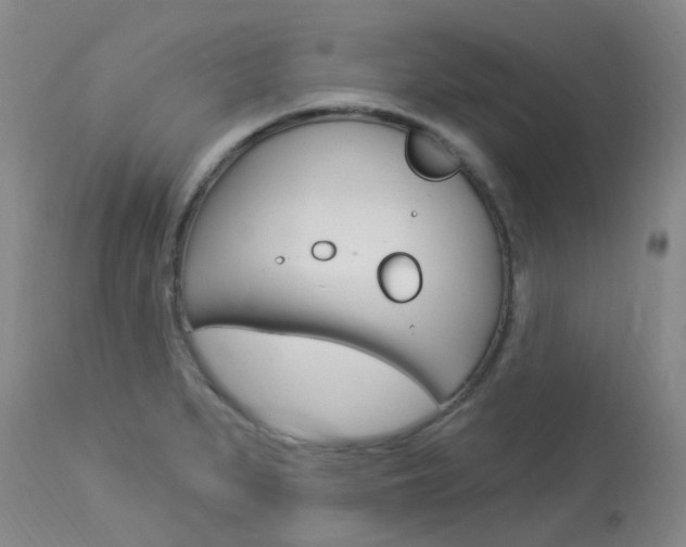 X0000114021279200910021008