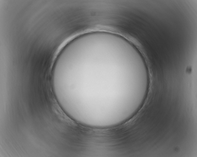 X0000114021280200910021008