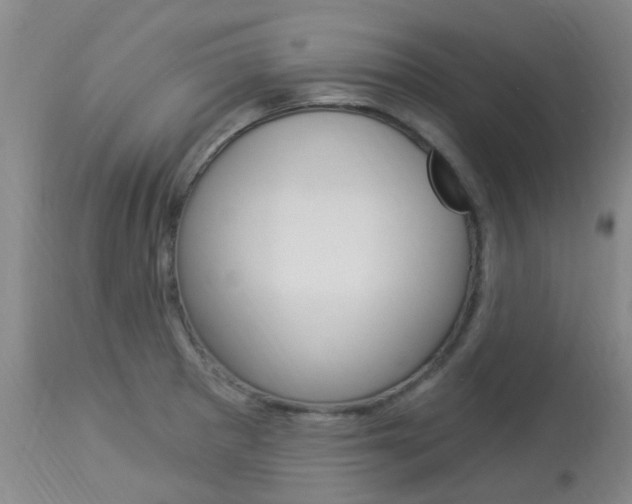 X0000114021281200910021008