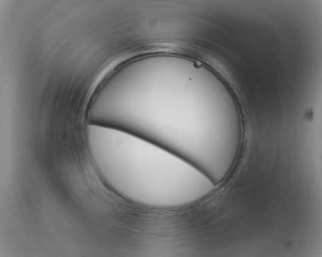 X0000114021283200910021008