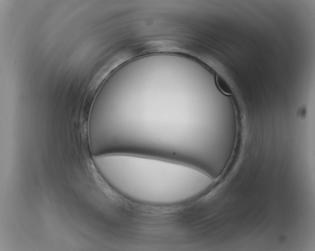 X0000114021289200910021008