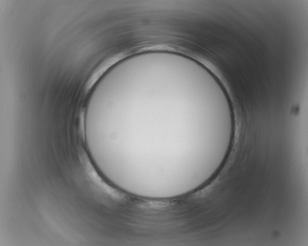 X0000114021290200910021008