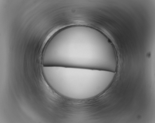 X0000114021291200910021008