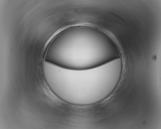 X0000114021292200910021008
