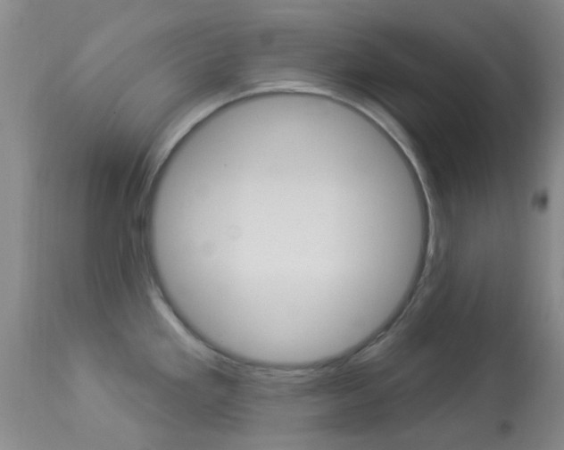 X0000114021293200910021008