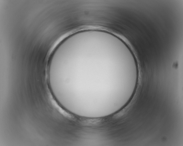 X0000114021294200910021008