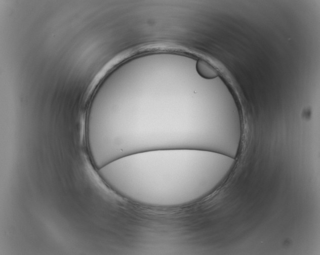 X0000114021295200910021008