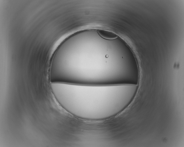 X0000114021296200910021008