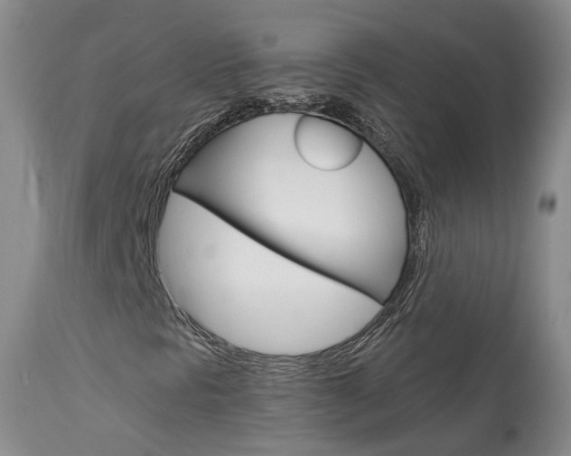 X0000114021297200910021007