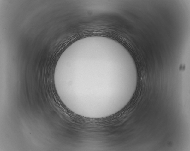 X0000114021298200910021007