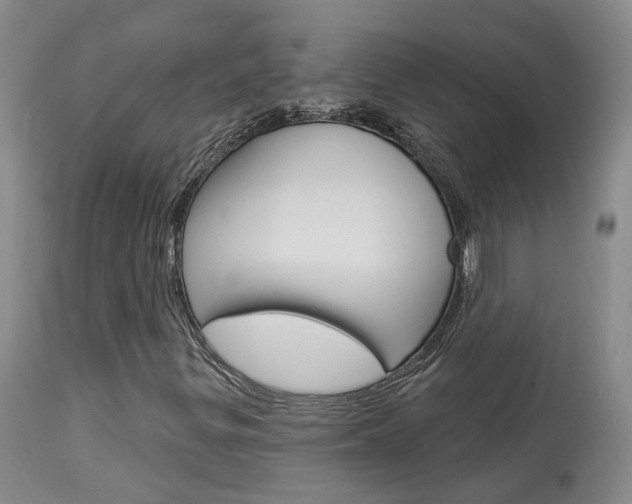 X0000114021299200910021007