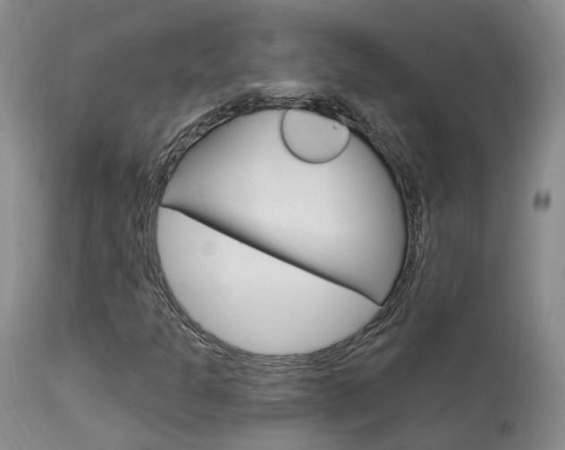 X0000114021301200910021007