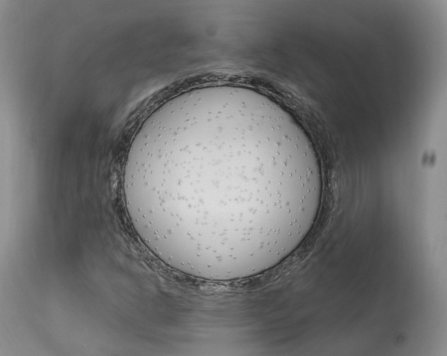 X0000114021302200910021007