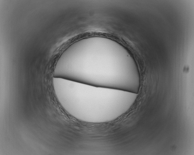X0000114021303200910021007