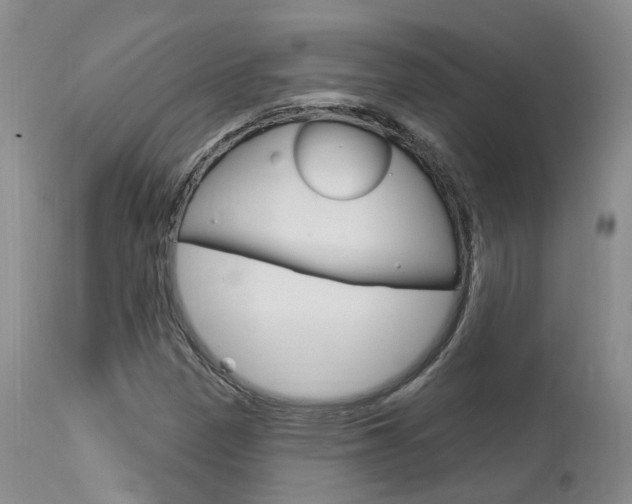 X0000114021305200910021007