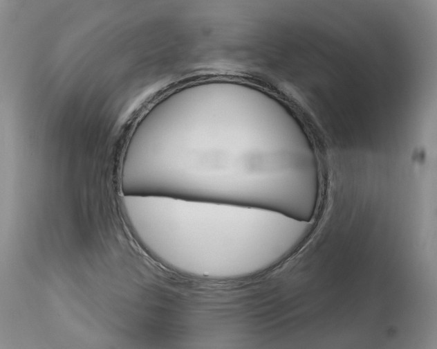 X0000114021307200910021007