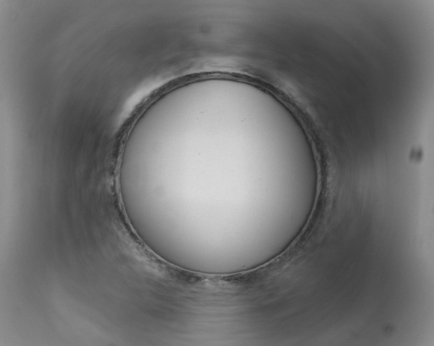 X0000114021312200910021007