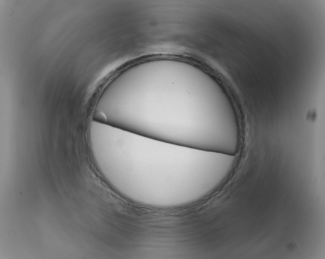 X0000114021315200910021007