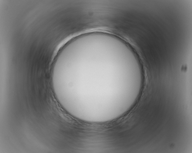 X0000114021316200910021007