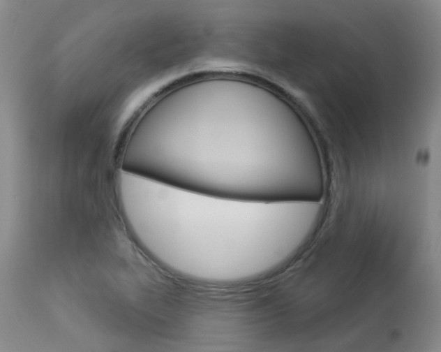 X0000114021319200910021007