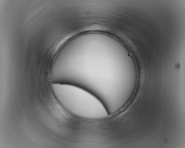 X0000114021321200910021007