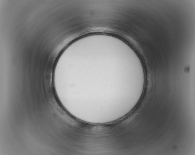X0000114021322200910021007