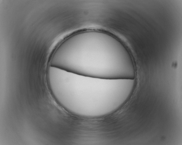 X0000114021327200910021007