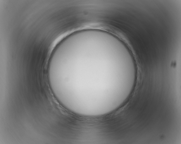 X0000114021328200910021007