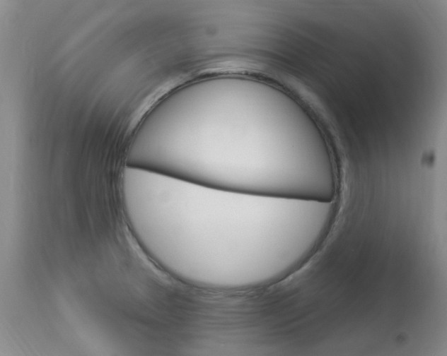 X0000114021329200910021007