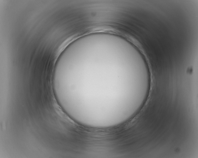 X0000114021330200910021007