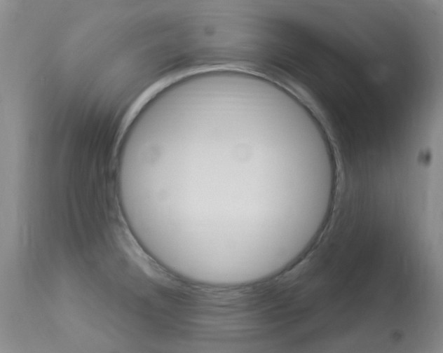X0000114021332200910021007