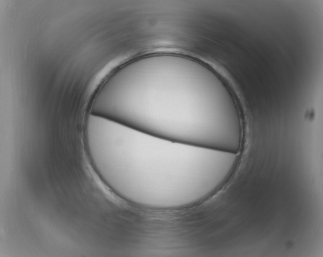 X0000114021333200910021007