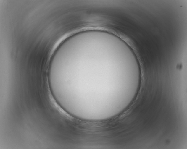 X0000114021334200910021007