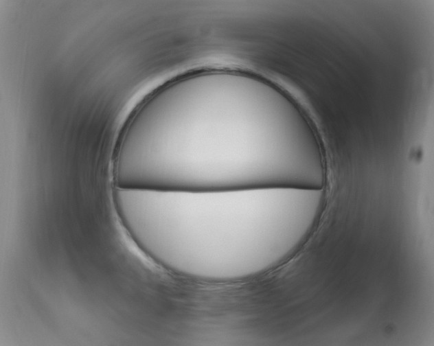 X0000114021335200910021008