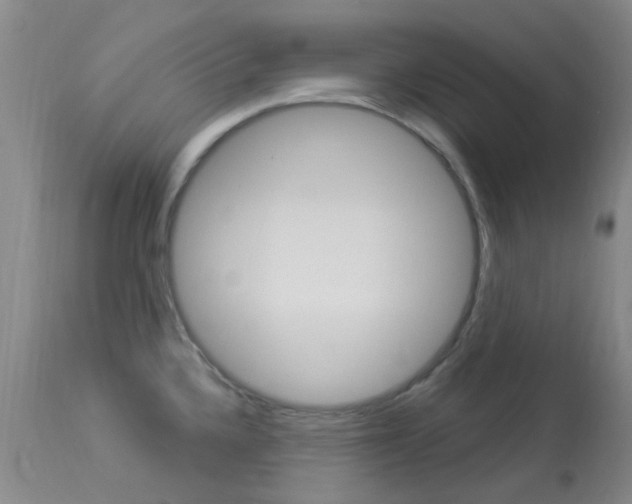 X0000114021336200910021008