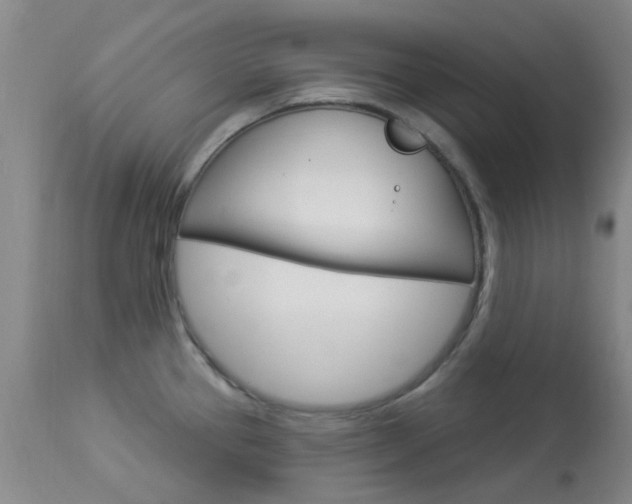 X0000114021337200910021008