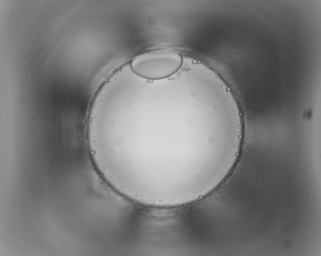 X0000114021338200910021008