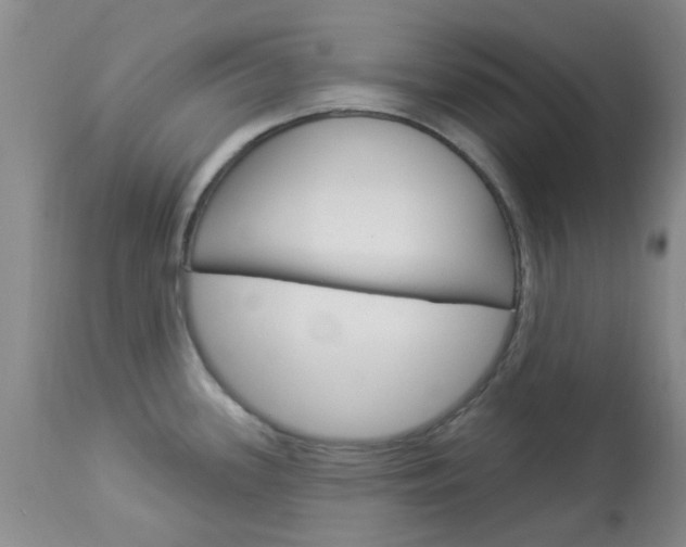 X0000114021339200910021008