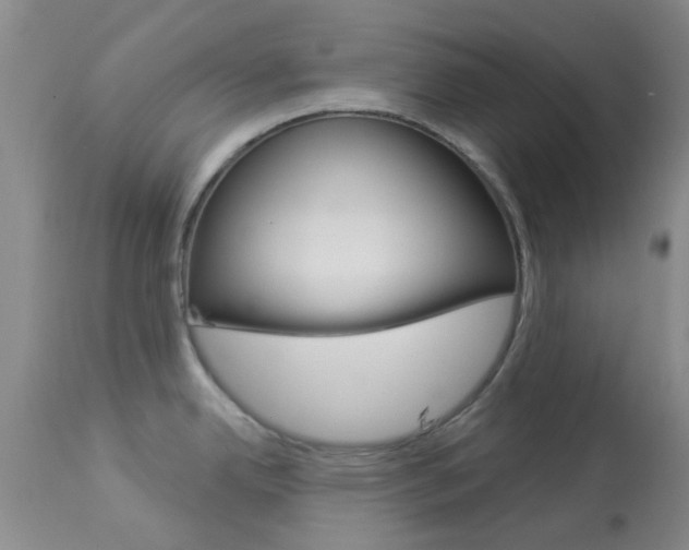 X0000114021342200910021008