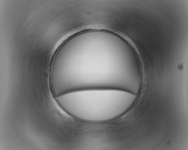 X0000114021343200910021008