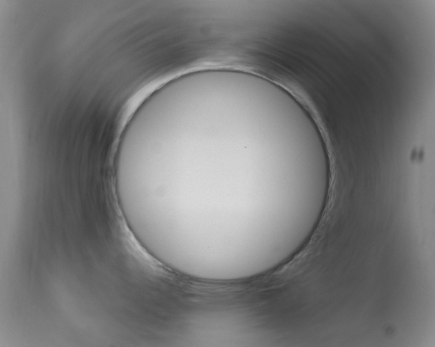 X0000114021344200910021008