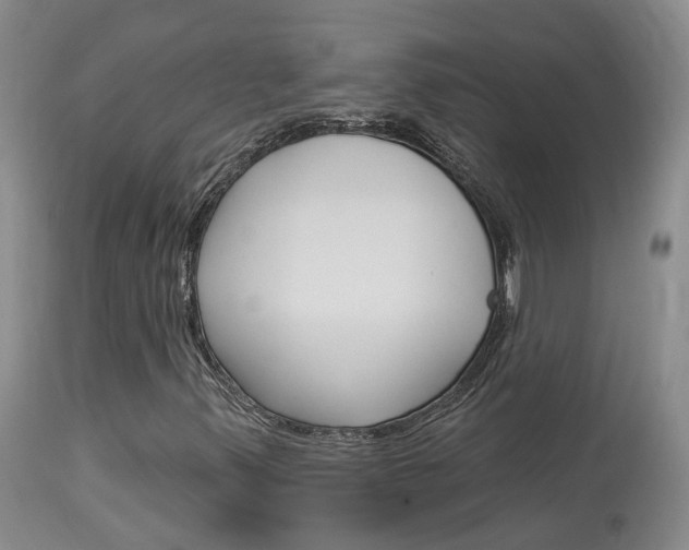 X0000114021347200910021007